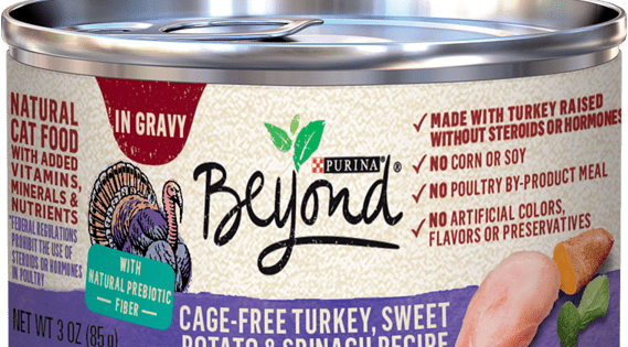 Purina Beyond Cage-free Turkey, Sweet Potato & Spinach Recipe In Gravy